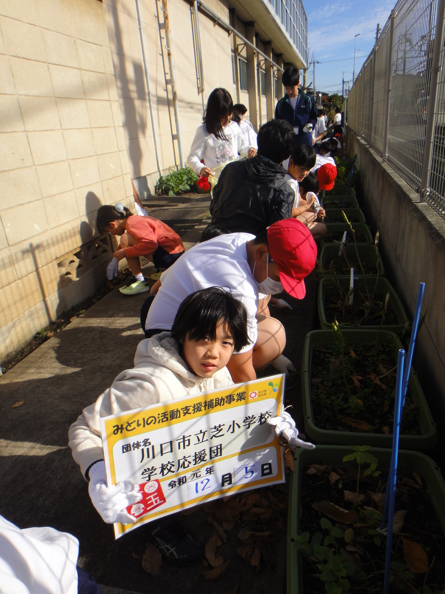 川口市立芝小学校学校応援団 埼玉みどりのポータルサイト