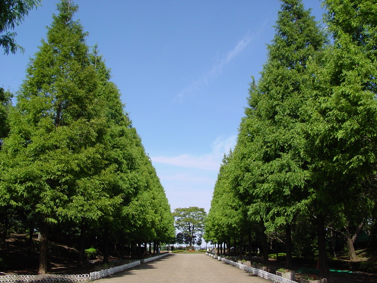 そうか公園 埼玉みどりのポータルサイト