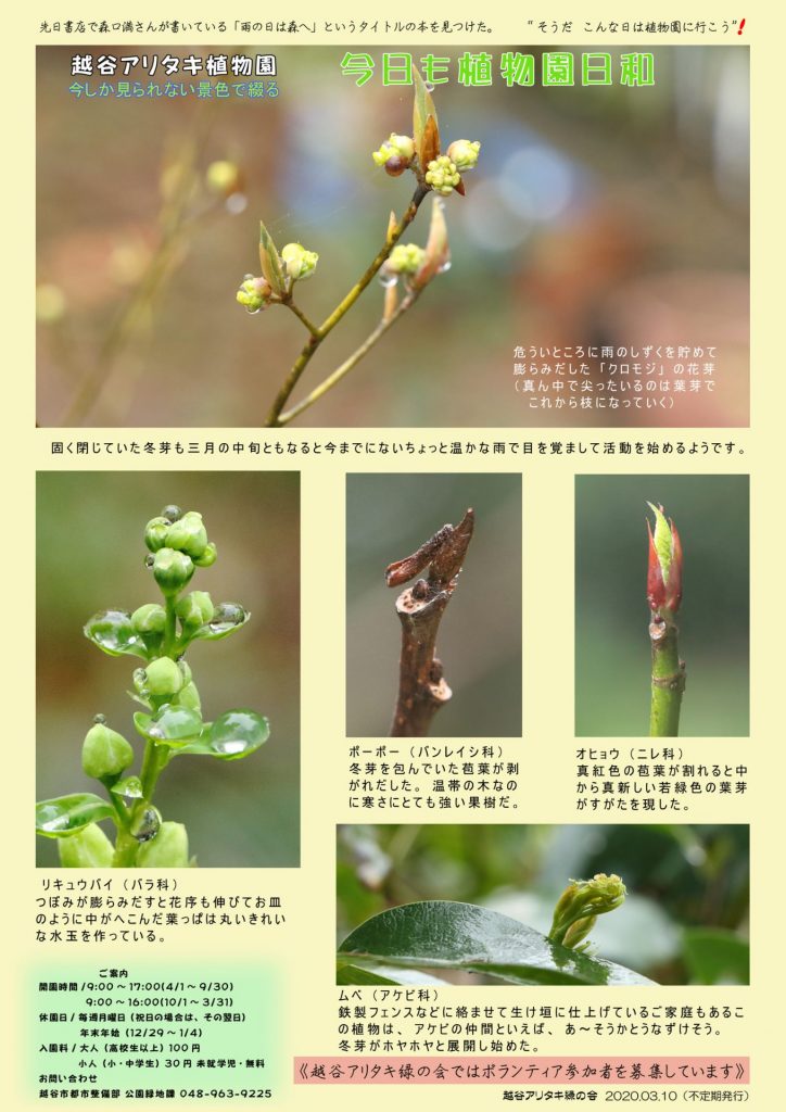 越谷アリタキ植物園３月：冬芽の目覚め