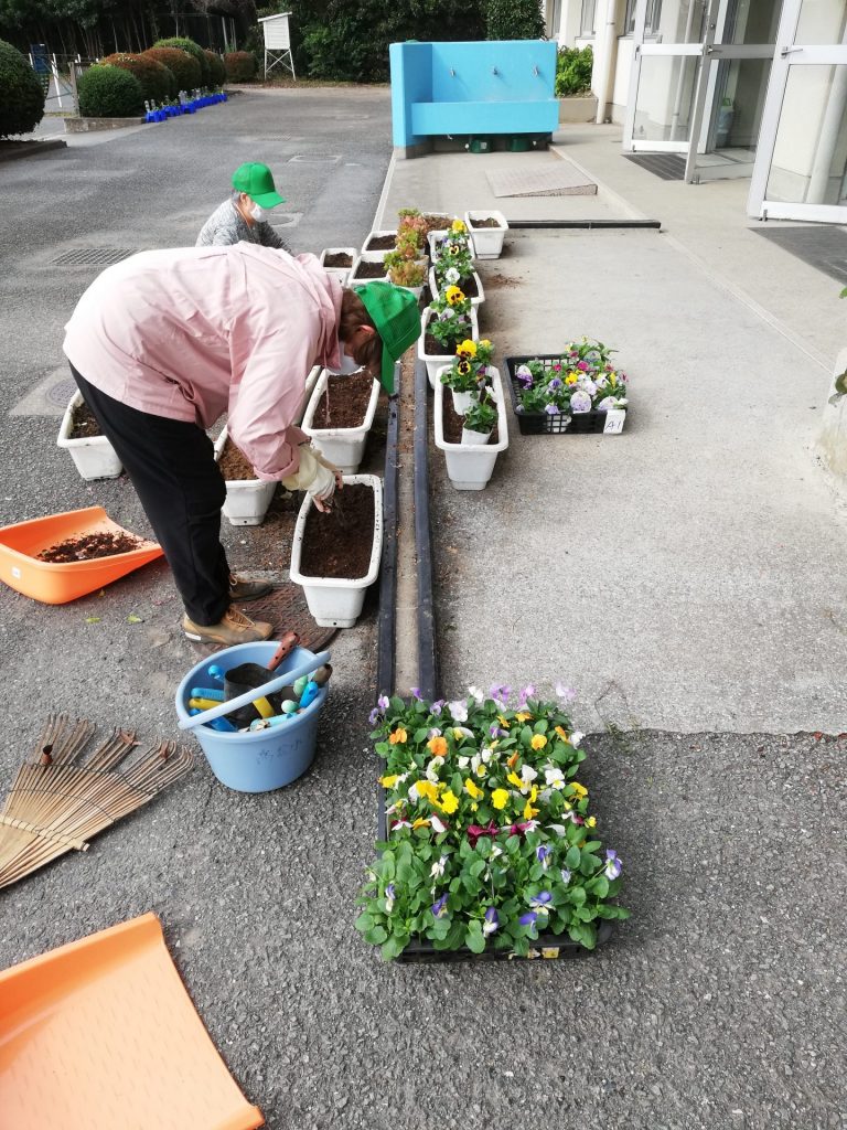 プランター花壇の花植え替え 埼玉みどりのポータルサイト