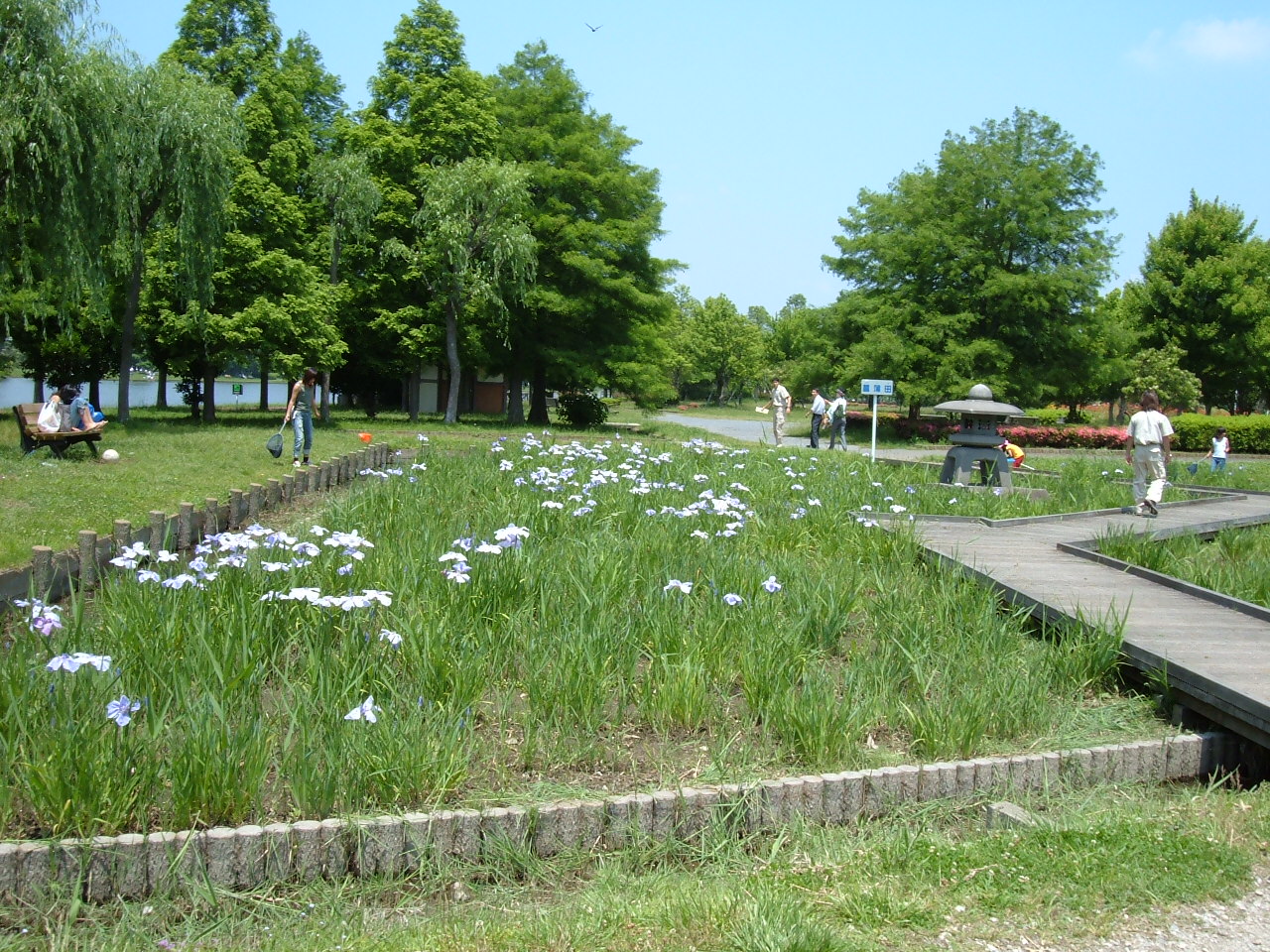 みさと公園 埼玉みどりのポータルサイト みさと公園 埼玉みどりのポータルサイト