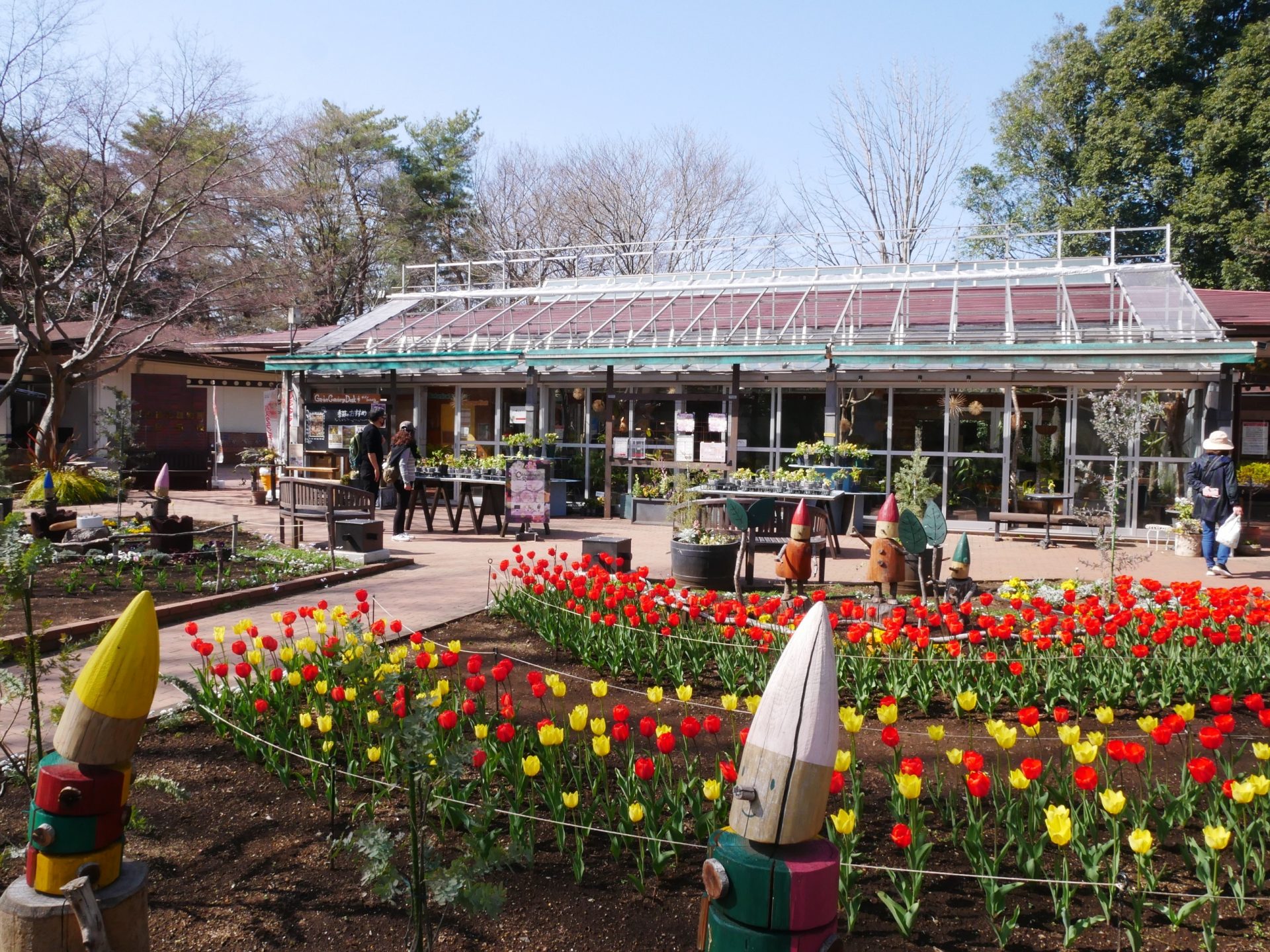 埼玉 森林 公園