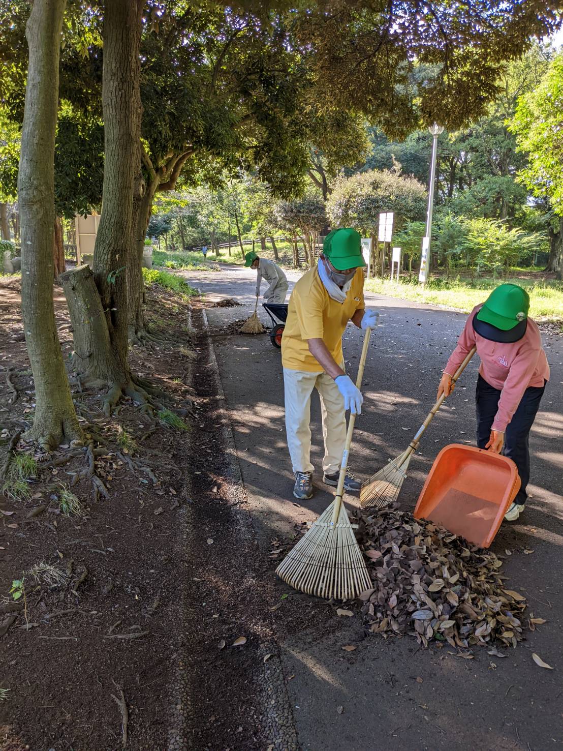 側溝の落ち葉 清掃活動 埼玉みどりのポータルサイト
