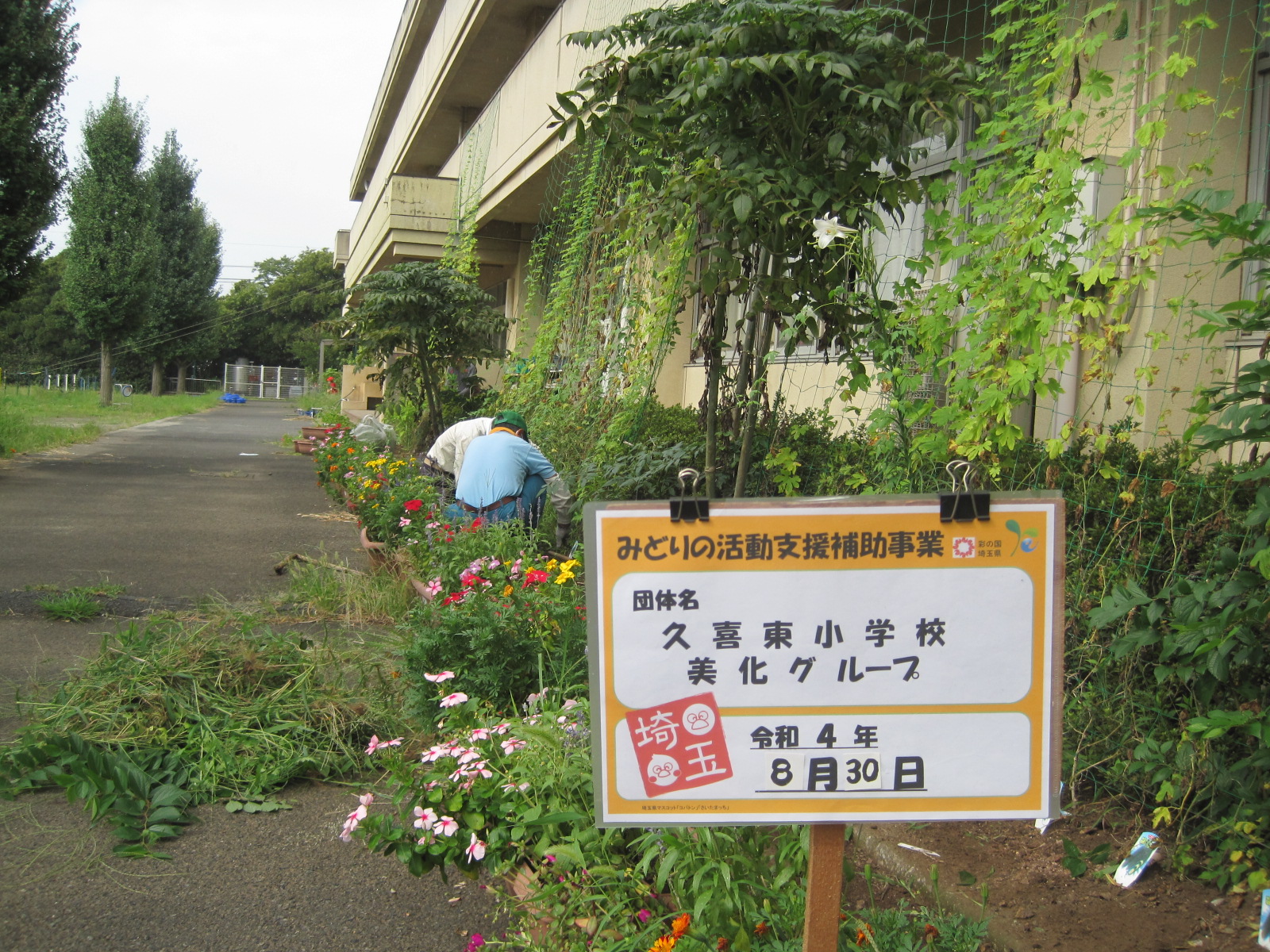 学校正門前花壇及び垣根、校舎前ｸﾞﾘｰﾝｶｰﾃﾝ及びﾌﾟﾗﾝﾀｰ、校舎玄関前プランター及び垣根の除草 埼玉みどりのポータルサイト