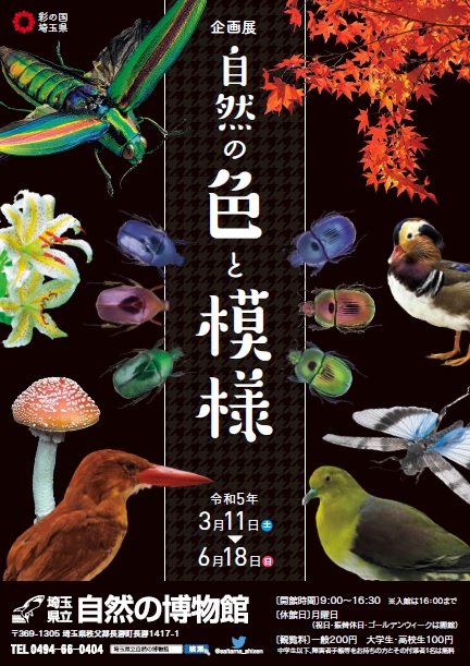 自然の秩序　3枚セット 企画展「自然の色と模様」 埼玉みどりのポータルサイト