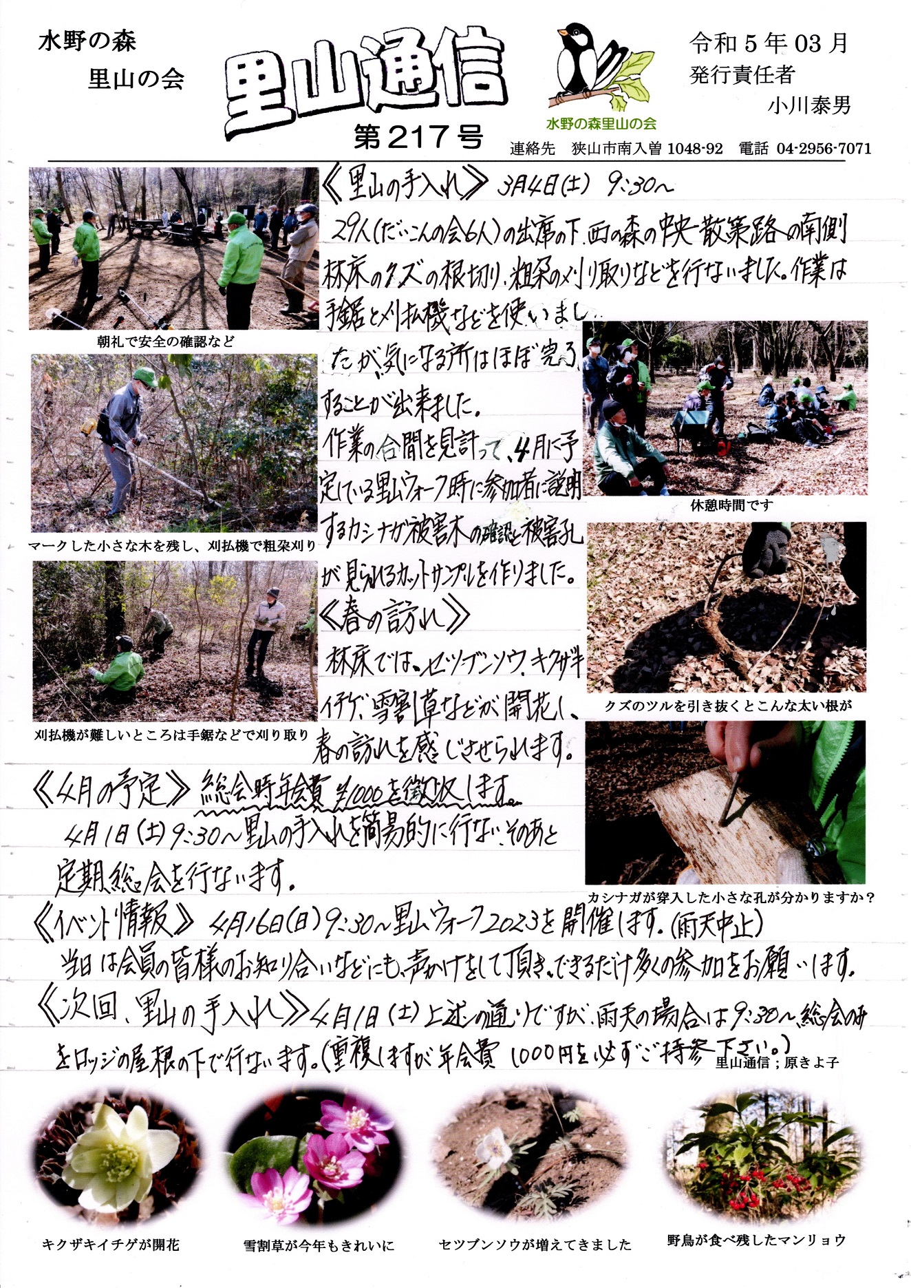里山通信217.jpg