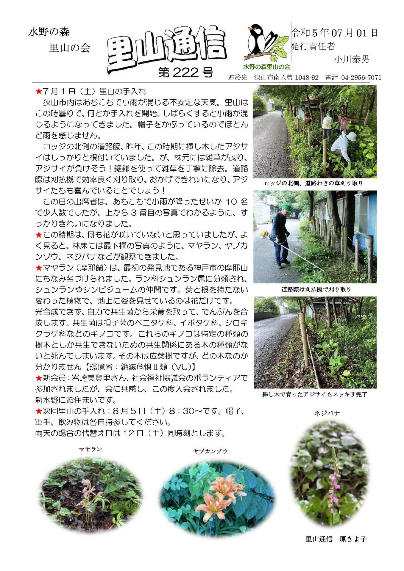 里山の手入れ 埼玉みどりのポータルサイト