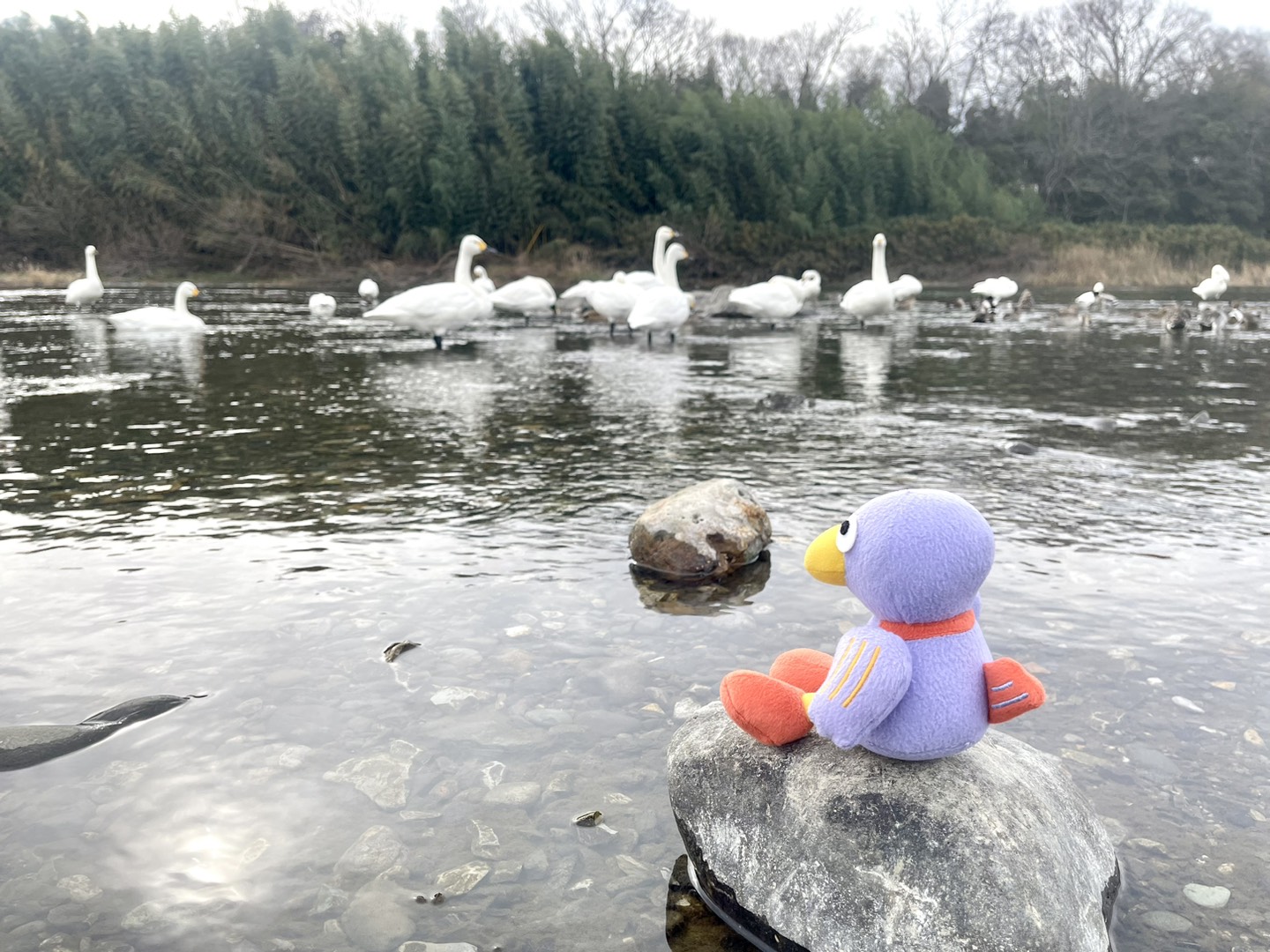 油絵　にゃんこ　足の長い鳥が住む街 新品】 油絵 にゃんこ様専用 足の長い鳥が住む街 絵画 - 絵画