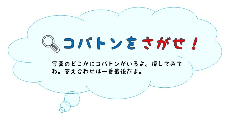 コバトンさんぽ #46 ~川越氷川神社、りそなコエドテラス、川越公園(川越市) 埼玉みどりのポータルサイト