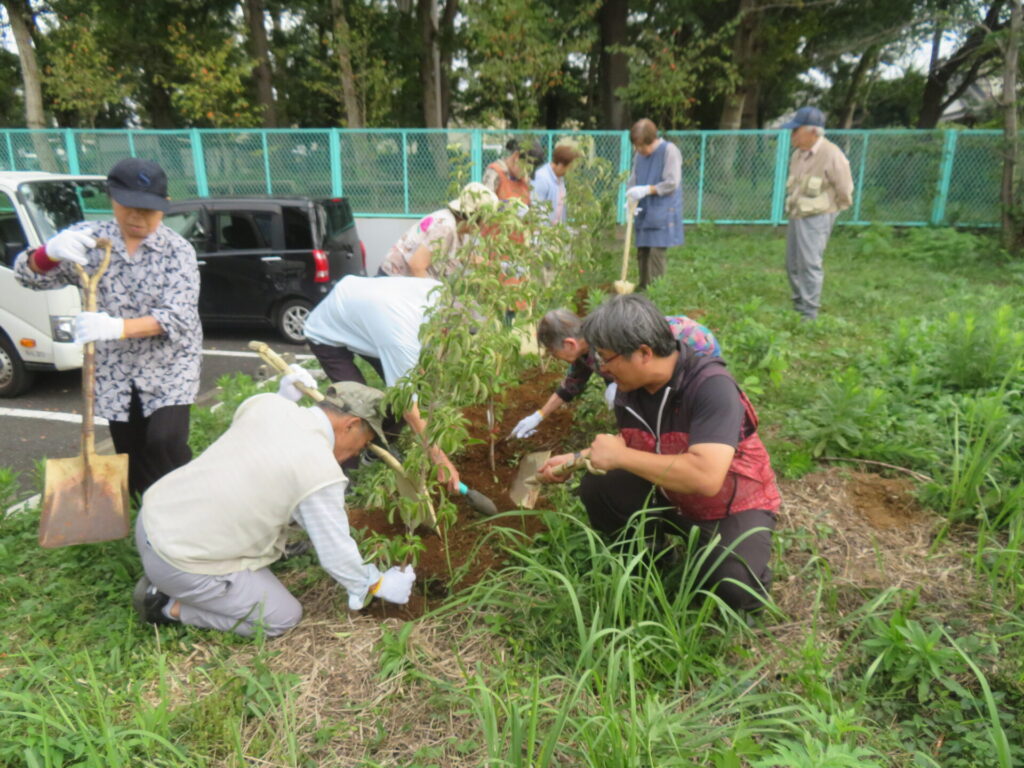 植樹活動（全員）