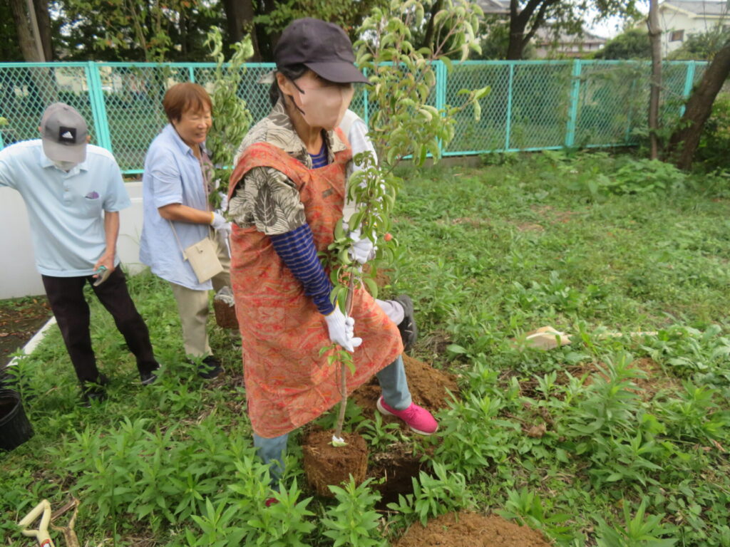 植樹の様子（少人数）