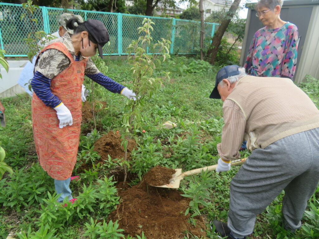 植樹の様子