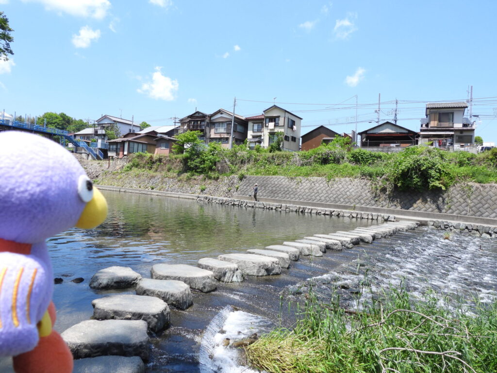 栃本親水公園の飛び石を渡ろうとするコバトン