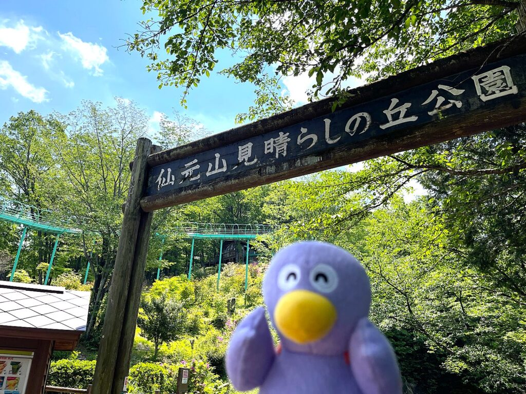 仙元山見晴らしの丘公園の看板前に立つコバトン