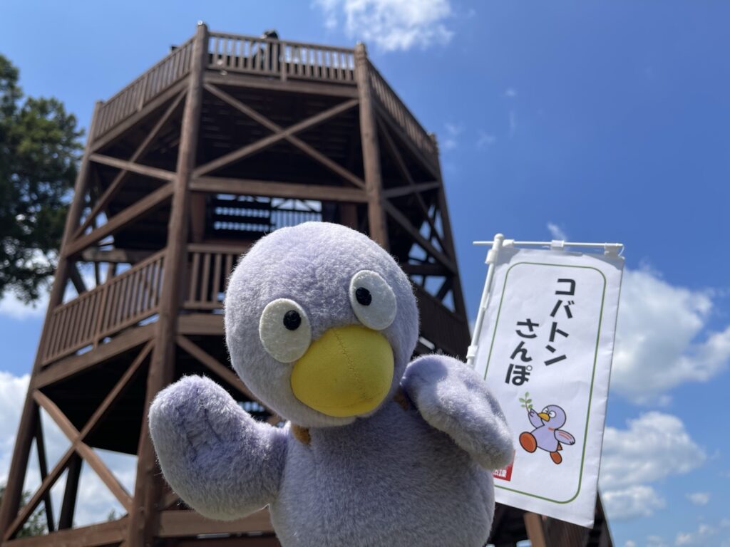 仙元山見晴らしの丘公園の展望台とコバトン