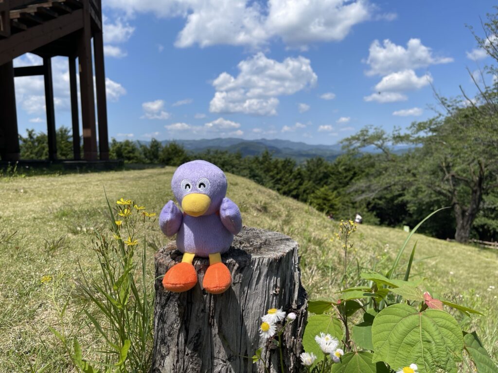 仙元山見晴らしの丘公園の切株に座るコバトン