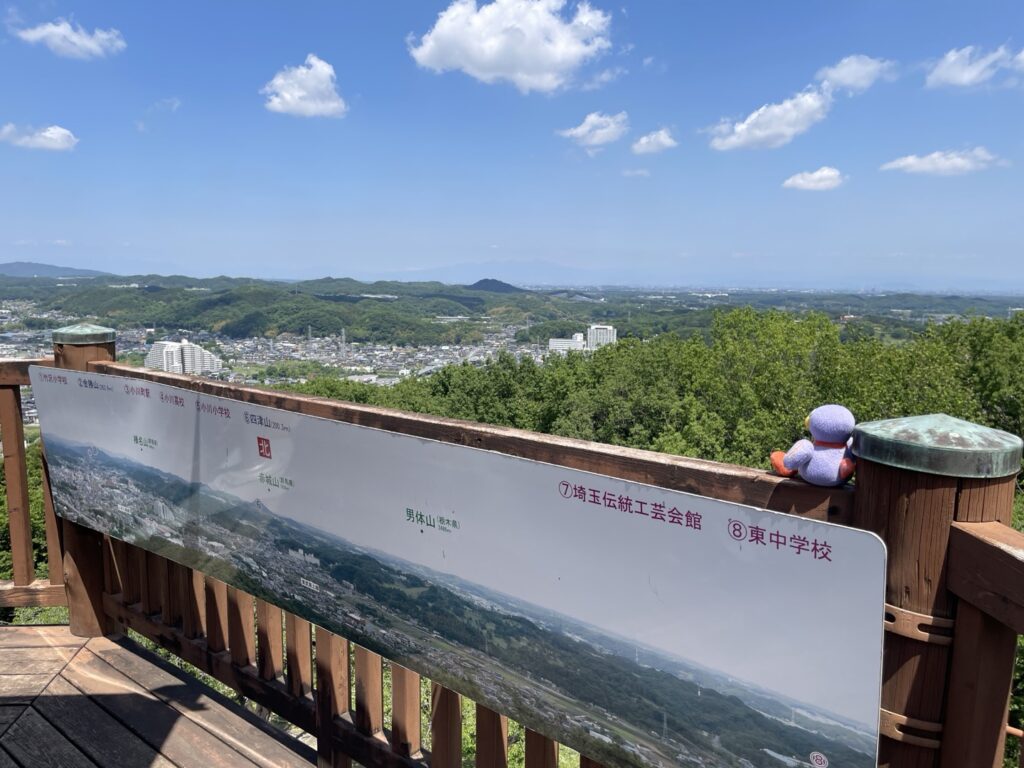 仙元山見晴らしの丘公園の展望台を登ったコバトン