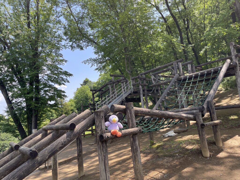 仙元山見晴らしの丘公園のアスレチックで遊ぶコバトン
