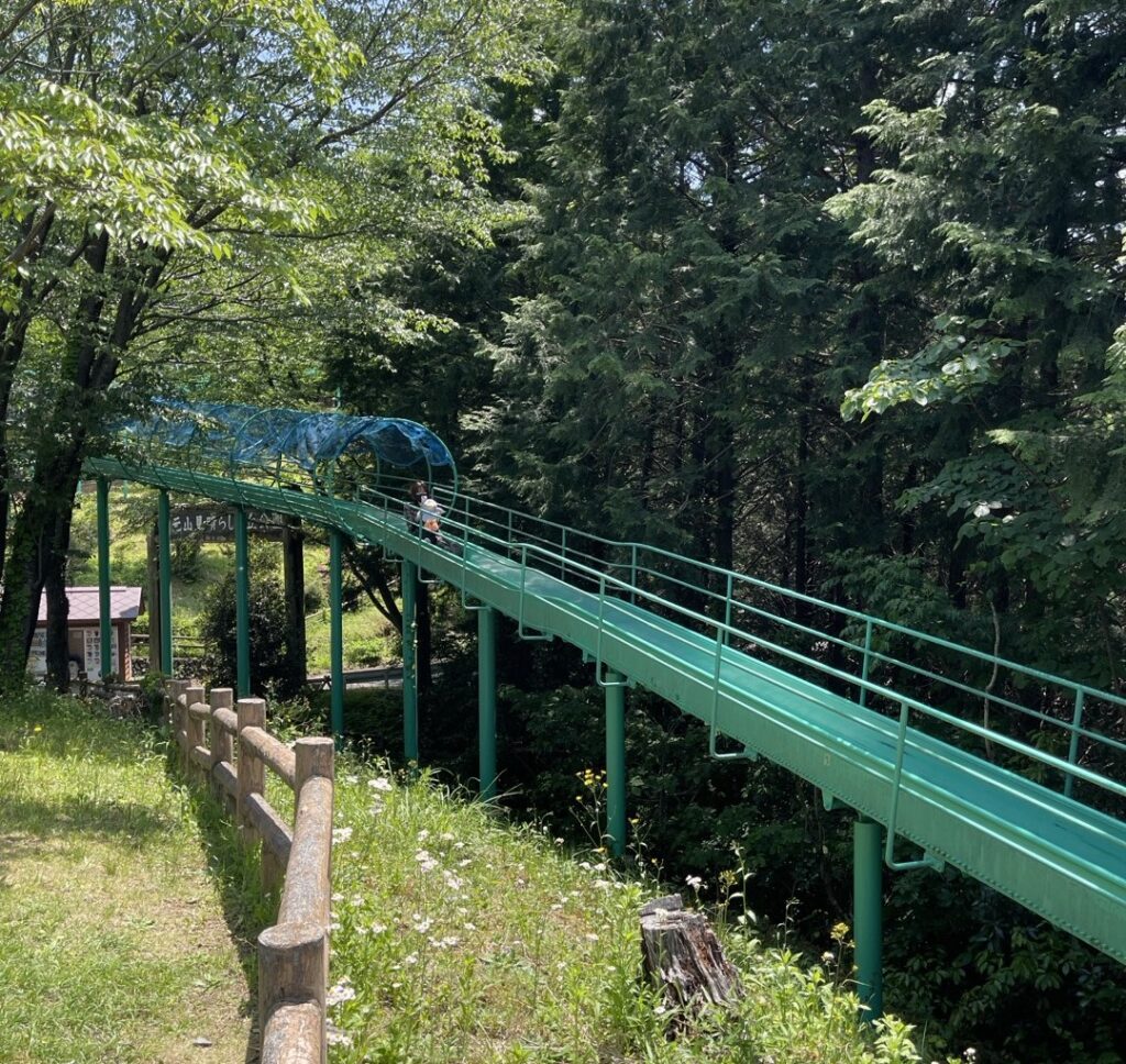 仙元山見晴らしの丘公園のローラーすべり台を滑るコバトン