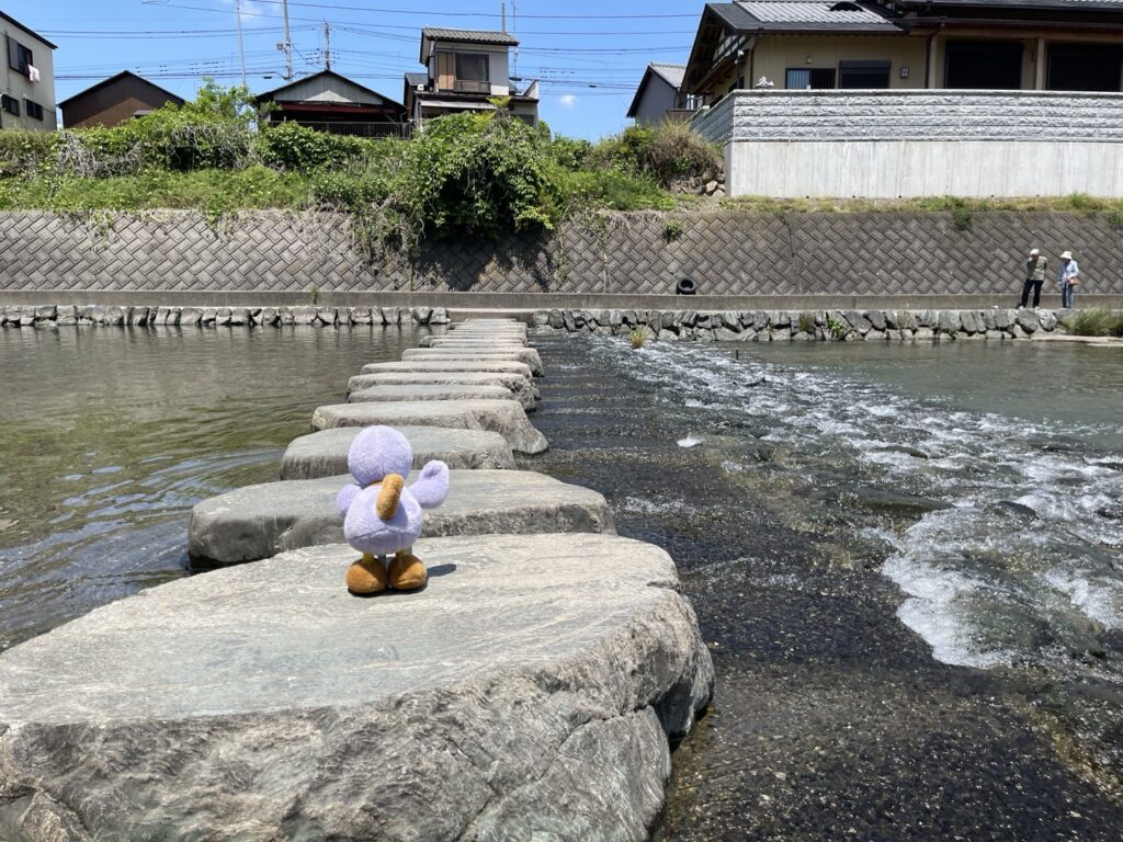 栃本親水公園の飛び石を渡るコバトン