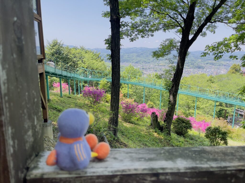 仙元山見晴らしの丘公園のローラーすべり台を眺めるコバトン