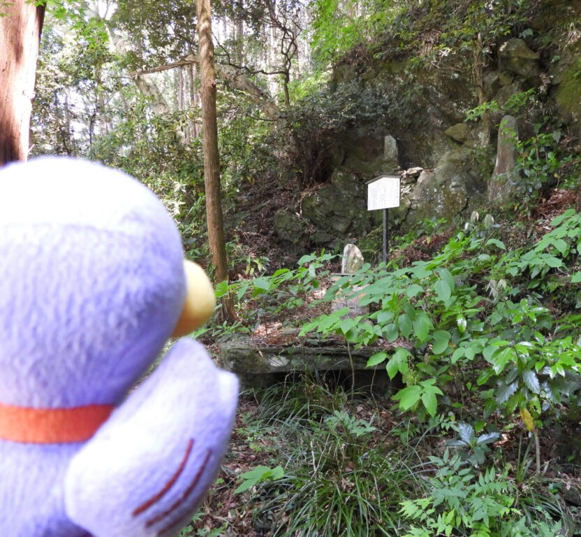 下里の滝（不動滝）とコバトン