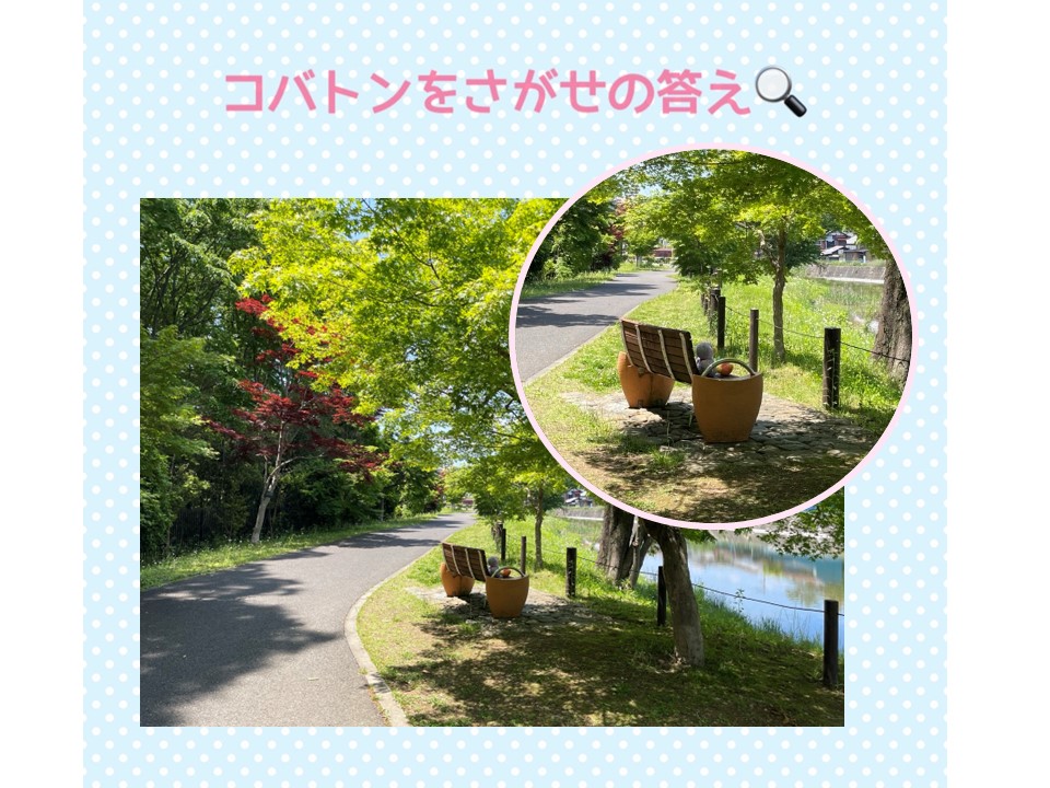 コバトンを探せの答え