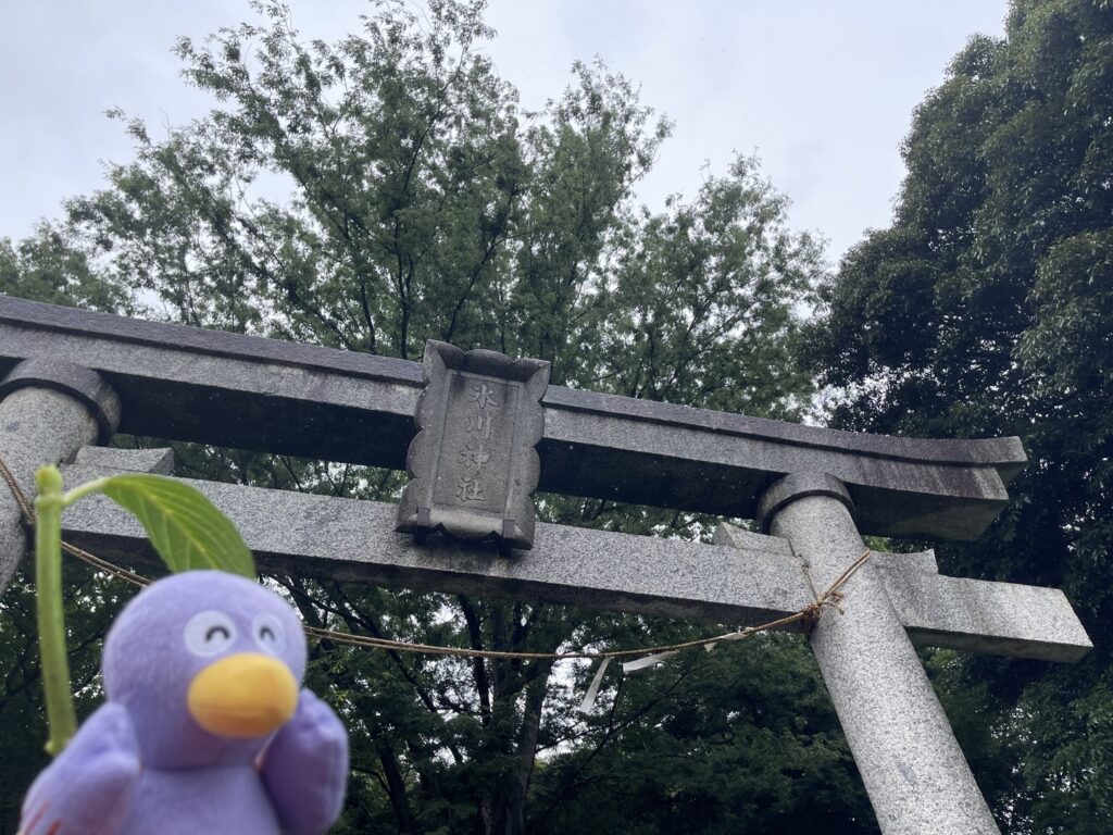 指扇氷川神社 鳥居の前で写真を撮るコバトン