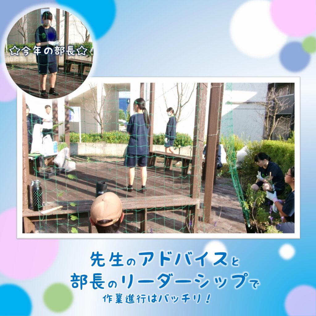 作業中写真