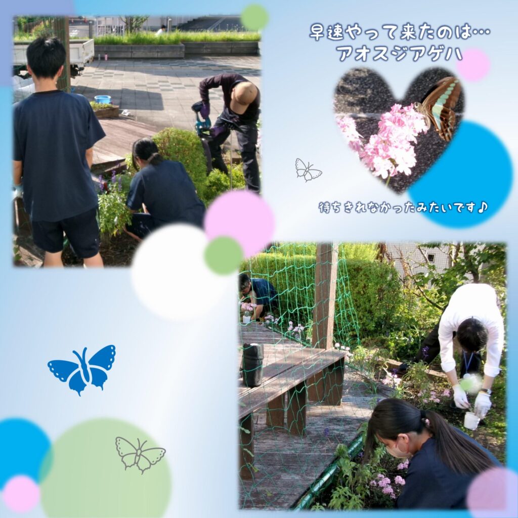 作業中の写真