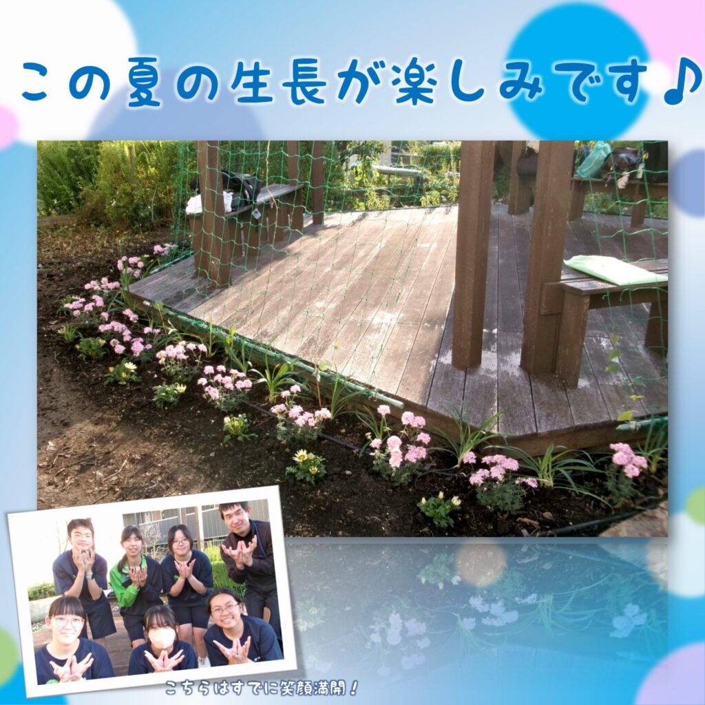 花植え後のパーゴラ回り