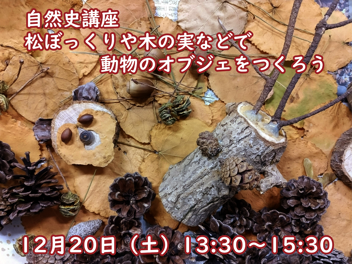 参加者募集】自然史講座「松ぼっくりや木の実などで動物オブジェを