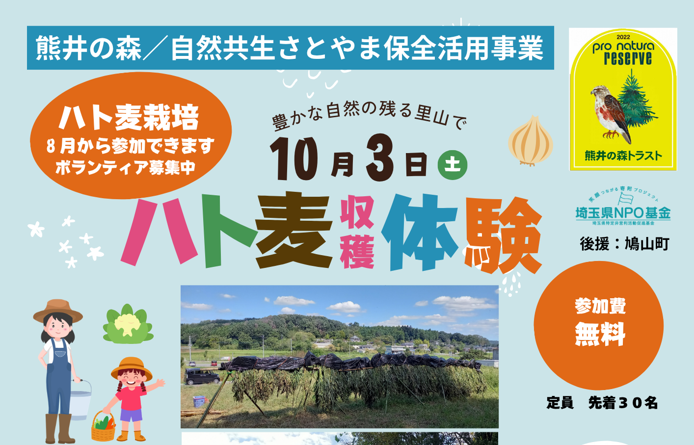 ハト麦収穫体験